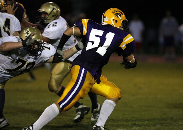 官方：费内巴切签下前狼队后卫塞梅多，双方签约两年