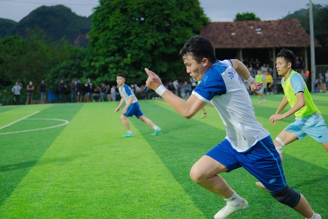 集采在中国 集采在中国