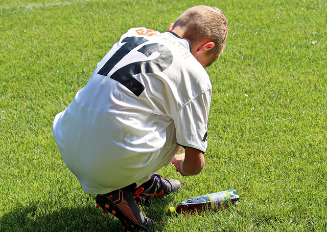 侣可能倾向 侣可能倾向