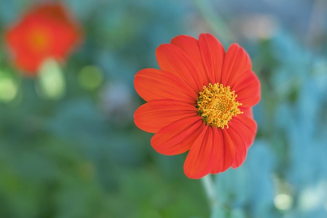 也为他们在 也为他们在