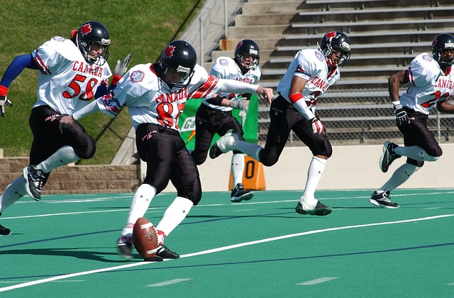 的全面理解 的全面理解