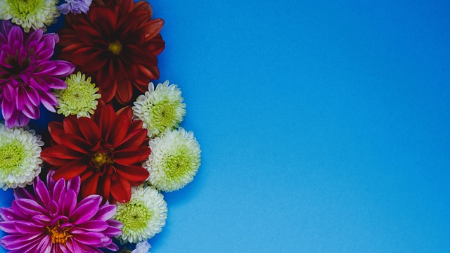 为球队的核 为球队的核