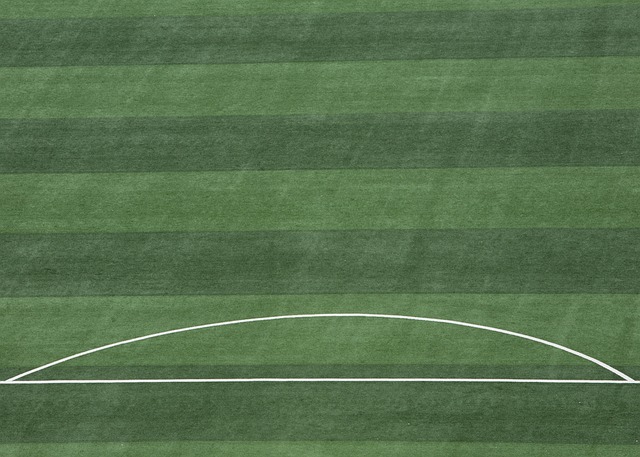 案例分析 案例分析